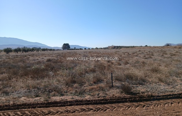 Wiederverkauf - Land - Yecla