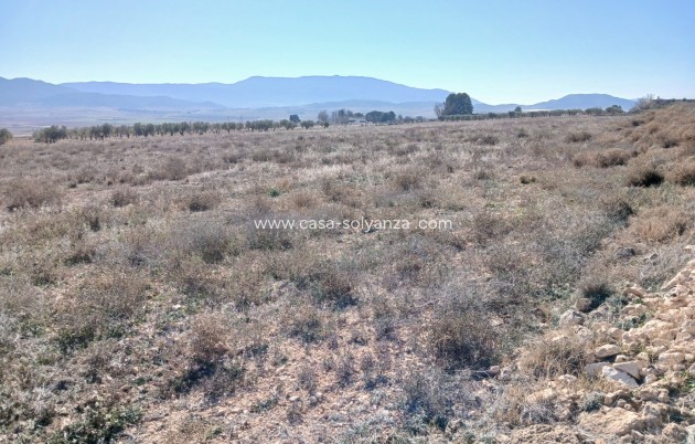 Wiederverkauf - Land - Yecla