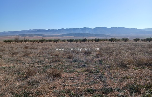 Wiederverkauf - Land - Yecla