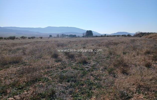 Wiederverkauf - Land - Yecla