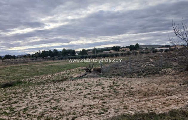 Resale - Land - Yecla