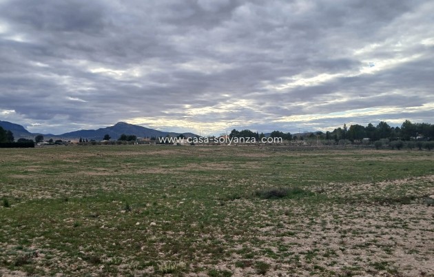 Resale - Land - Yecla