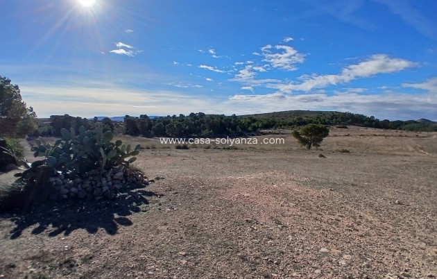 Wiederverkauf - Finca - Country Property - Caudete