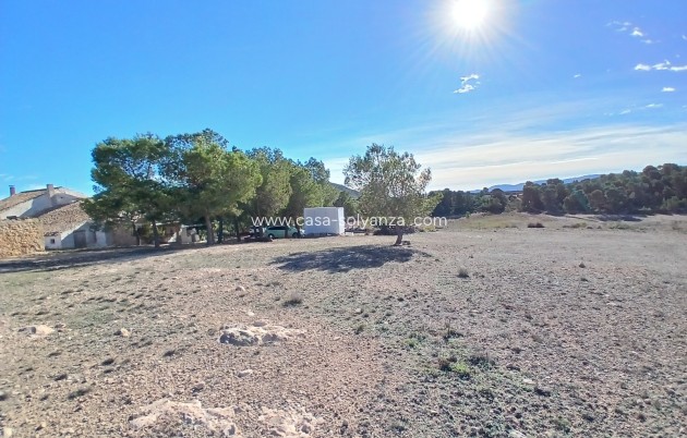 Wiederverkauf - Finca - Country Property - Caudete