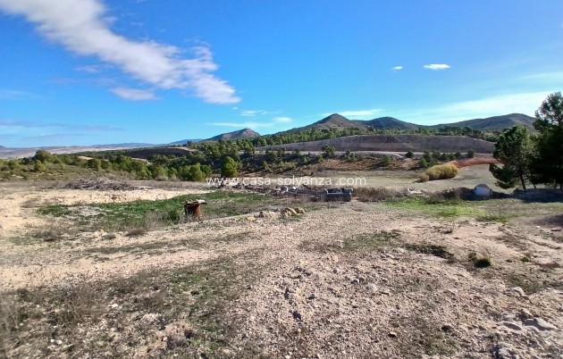 Wiederverkauf - Finca - Country Property - Caudete