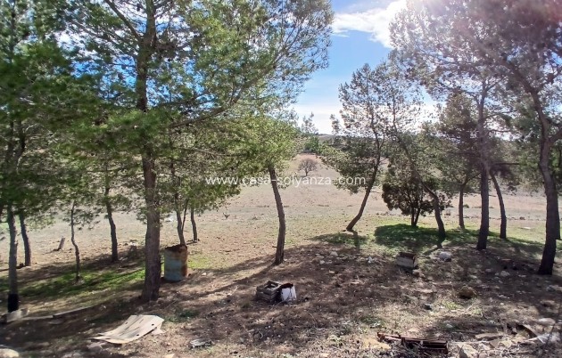 Wiederverkauf - Finca - Country Property - Caudete