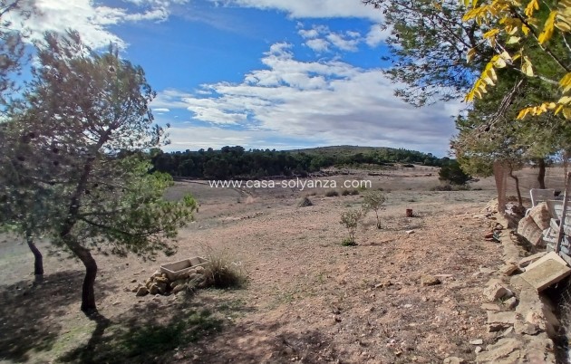 Wiederverkauf - Finca - Country Property - Caudete