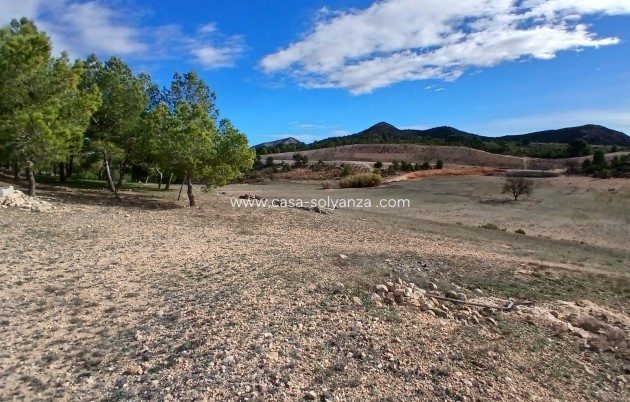 Wiederverkauf - Finca - Country Property - Caudete