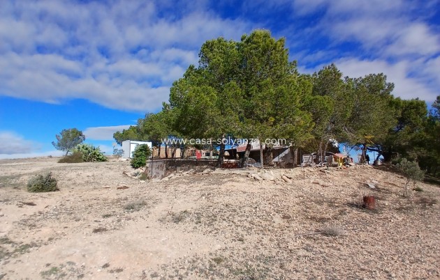 Wiederverkauf - Finca - Country Property - Caudete