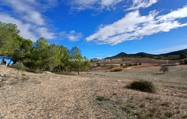 Wiederverkauf - Finca - Country Property - Caudete