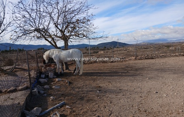 Wiederverkauf - Equestrian property - Monóvar