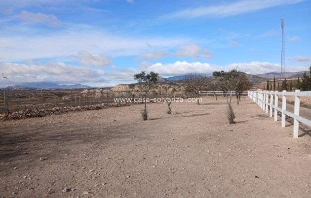 Wiederverkauf - Equestrian property - Monóvar