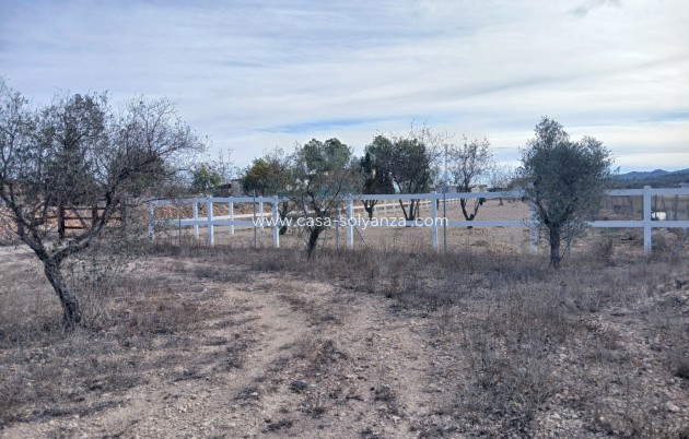 Wiederverkauf - Equestrian property - Monóvar