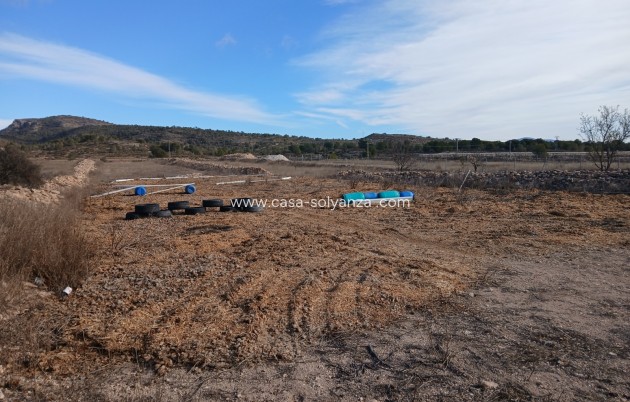 Wiederverkauf - Equestrian property - Monóvar