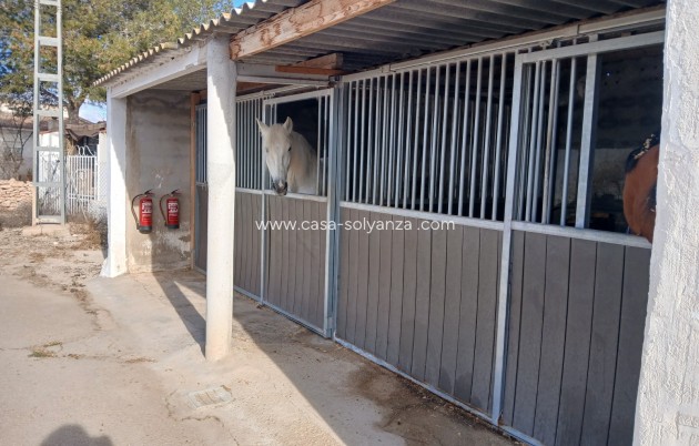 Wiederverkauf - Equestrian property - Monóvar