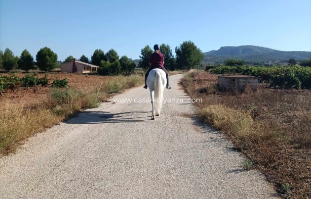 Wiederverkauf - Equestrian property - Monóvar
