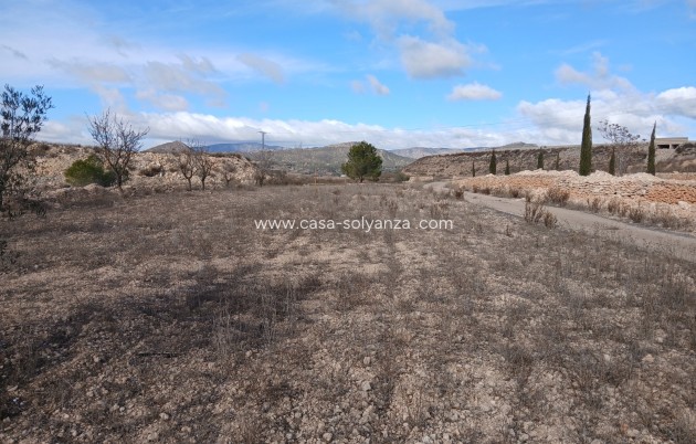 Wiederverkauf - Equestrian property - Monóvar