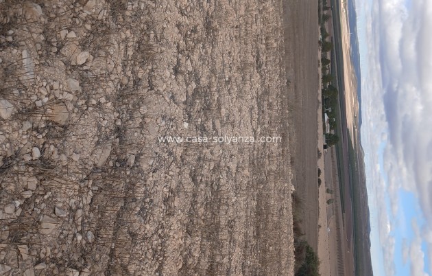 Wiederverkauf - Land - Yecla