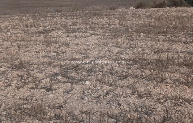 Wiederverkauf - Land - Yecla