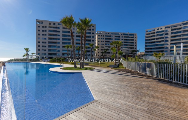 Herverkoop - Appartement / flat - Torrevieja - Costa Blanca