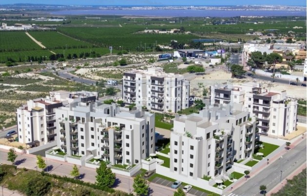 Resale - Apartment / flat - San Miguel de Salinas - Inland