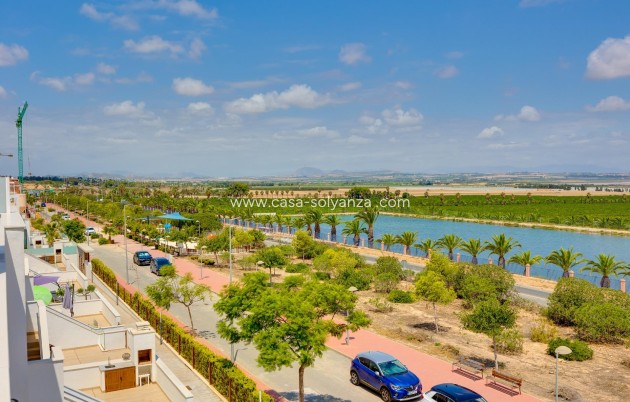 Wiederverkauf - Wohnung - Torrevieja - Los Balcones