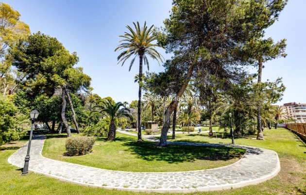 Wiederverkauf - Wohnung - Torrevieja - Acequion