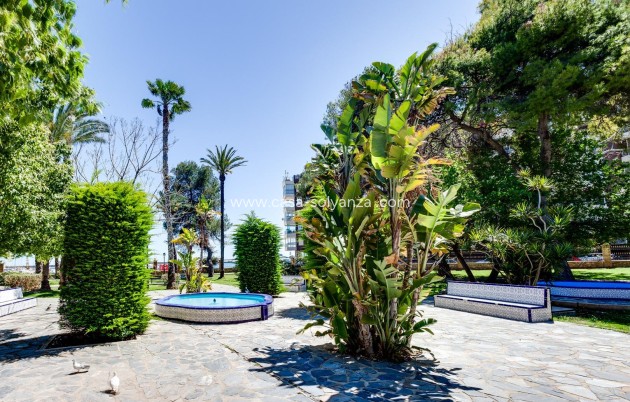 Wiederverkauf - Wohnung - Torrevieja - Acequion