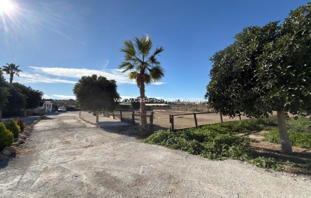 Reventa - Land - Algorfa - Inland