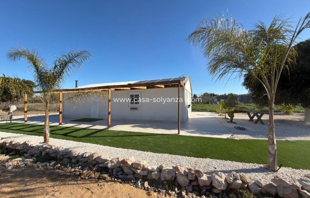 Reventa - Land - Algorfa - Inland