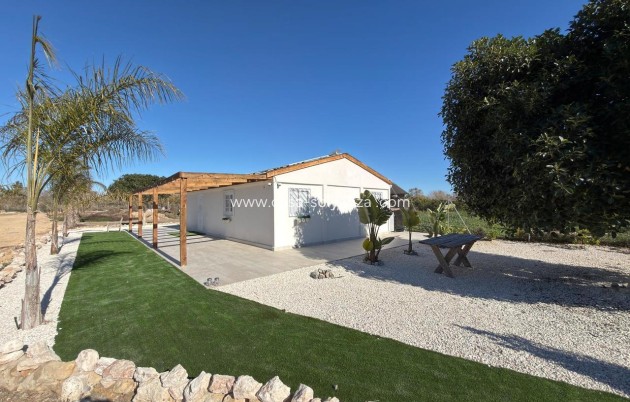 Reventa - Land - Algorfa - Inland