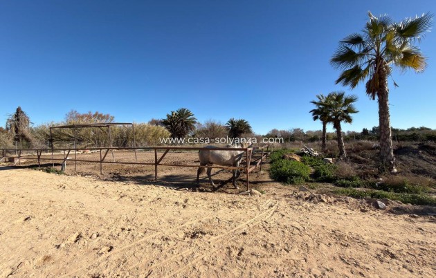 Reventa - Land - Algorfa - Inland