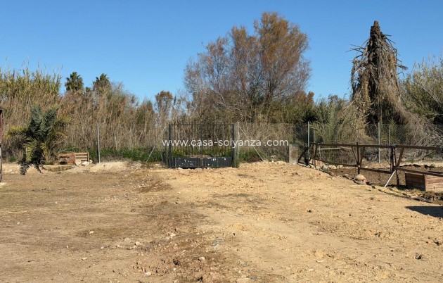 Reventa - Land - Algorfa - Inland