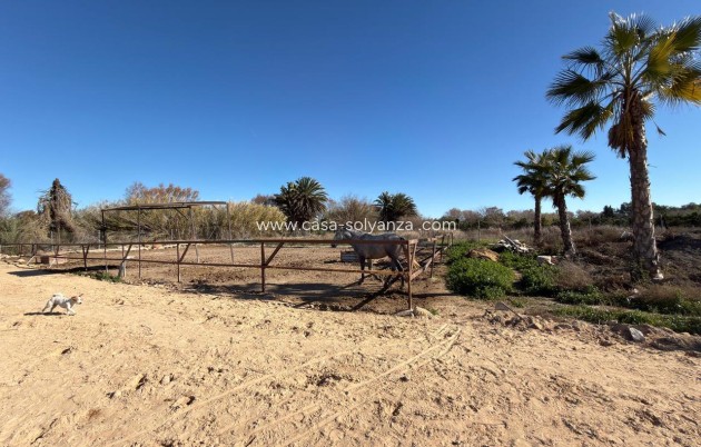 Reventa - Land - Algorfa - Inland