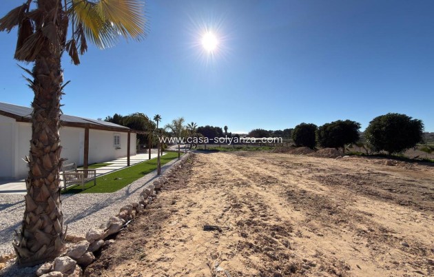 Reventa - Land - Algorfa - Inland