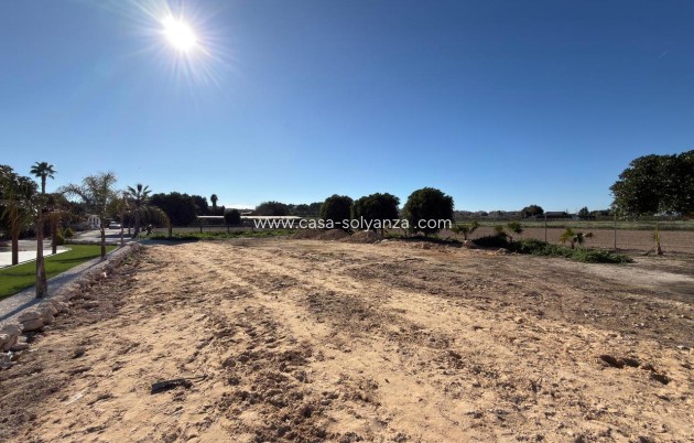 Reventa - Land - Algorfa - Inland