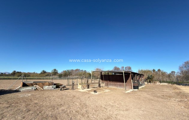 Reventa - Land - Algorfa - Inland