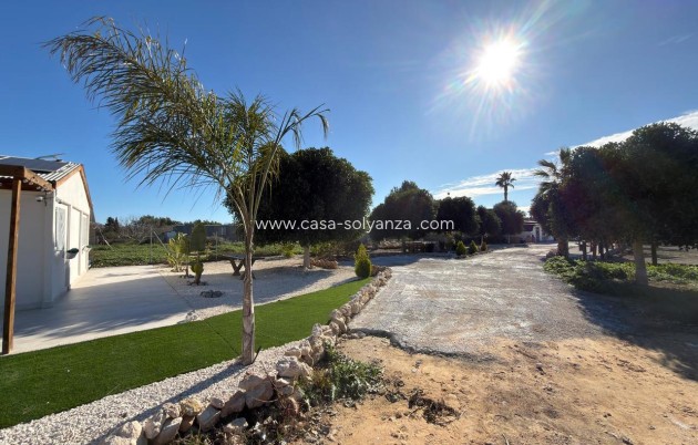 Reventa - Land - Algorfa - Inland