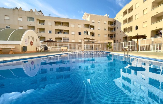 Reventa - Apartamento / piso - Torrevieja - Center