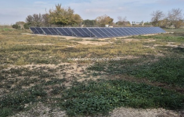 Resale - Country Property/Finca - Daya Vieja - Costa Blanca