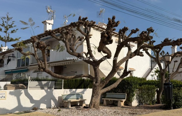 Resale - Bungalow - Torrevieja - Los Balcones