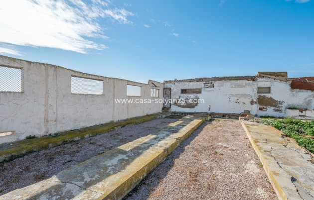 Resale - Country Property/Finca - Elche - Inland