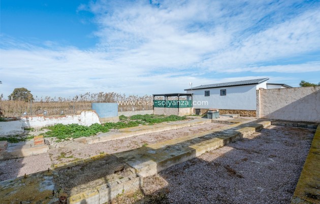 Resale - Country Property/Finca - Elche - Inland