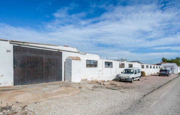 Resale - Country Property/Finca - Elche - Inland
