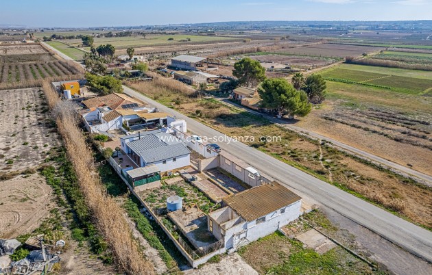 Resale - Country Property/Finca - Elche - Inland