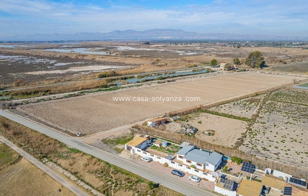 Resale - Country Property/Finca - Elche - Inland