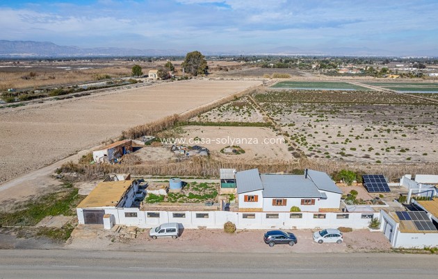 Resale - Country Property/Finca - Elche - Inland