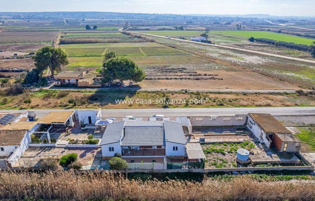 Resale - Country Property/Finca - Elche - Inland
