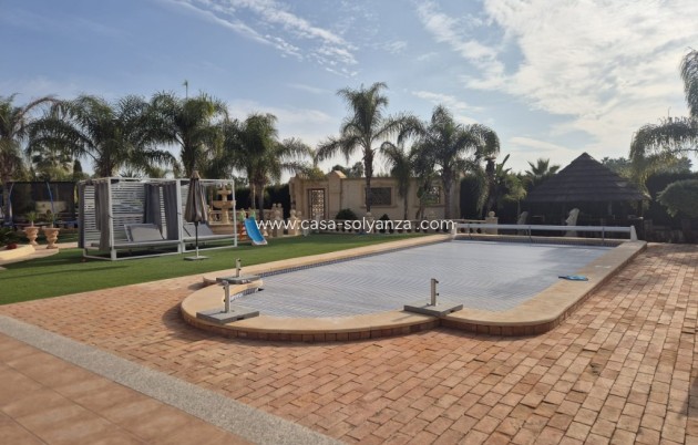 Wiederverkauf - Country Property/Finca - Daya Vieja