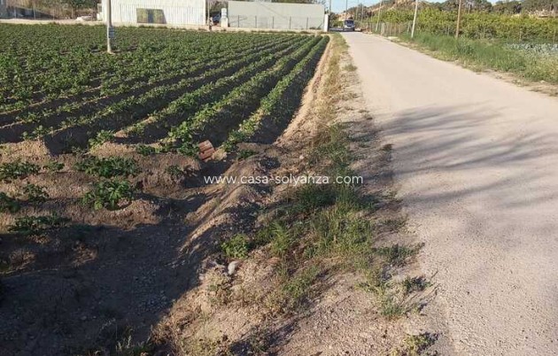 Resale - Country Property/Finca - Arneva - LOS DESAMPARADOS